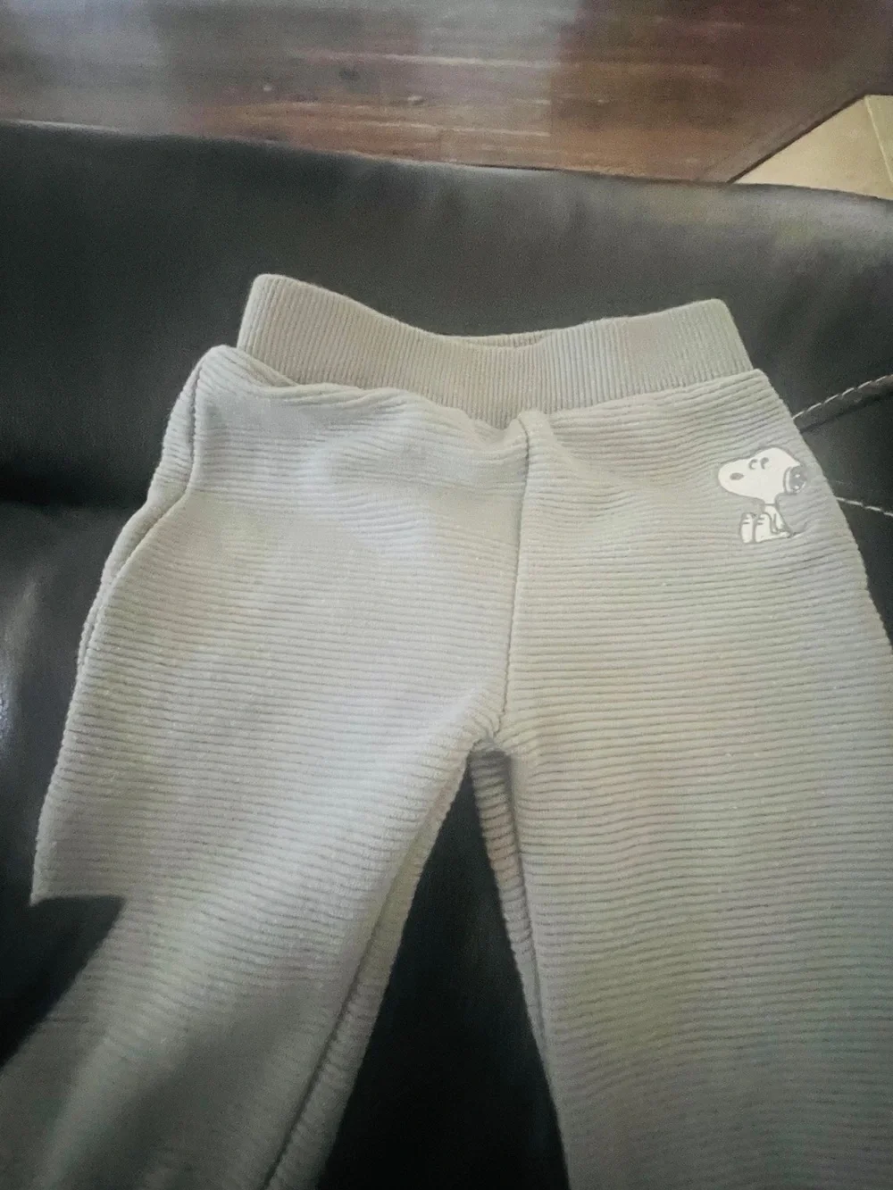 Peanuts Snoopy  Gray Sweatshirt  and Pants with Brand Tag 3-6 months